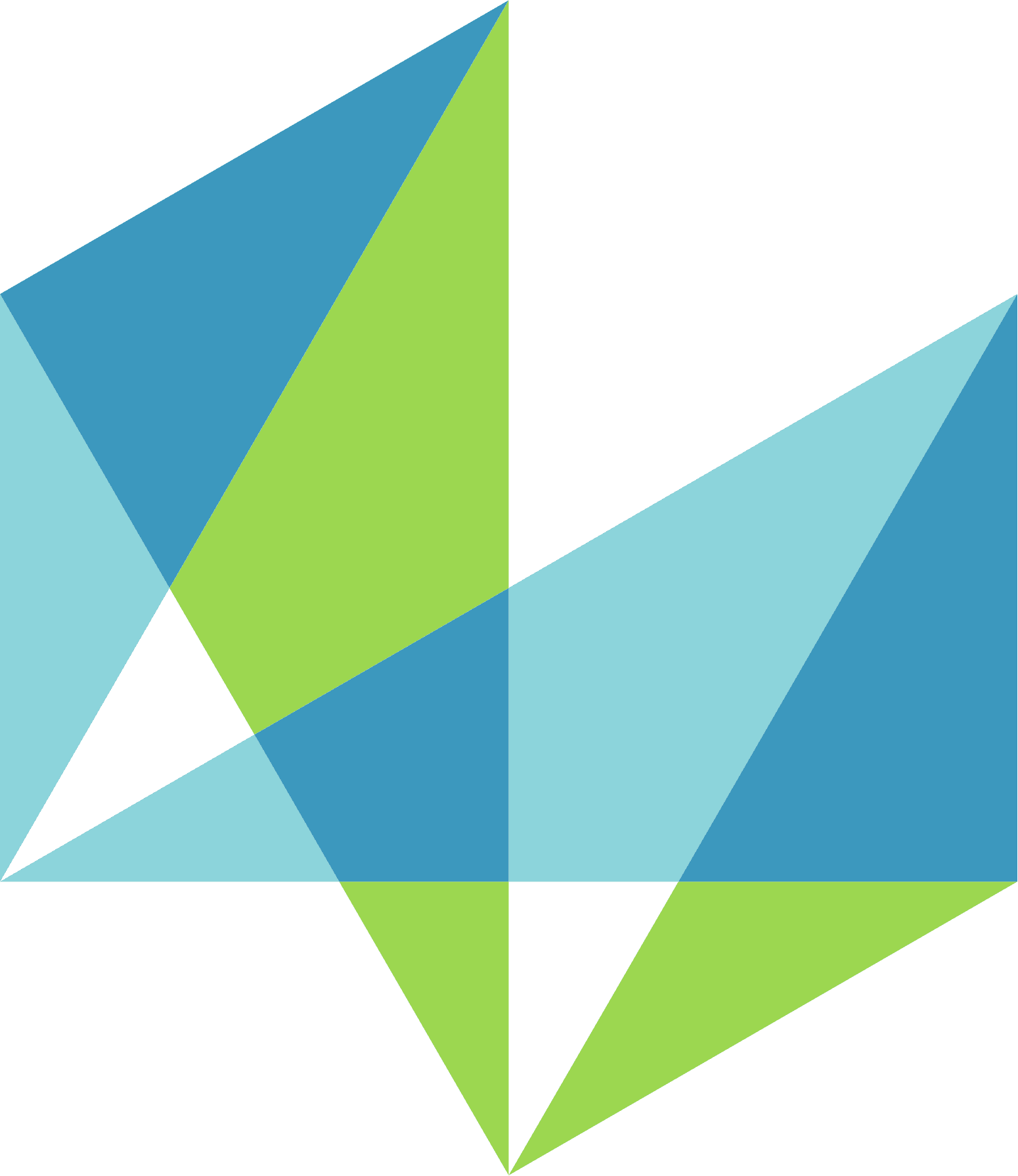 Hexagon Partner Logo